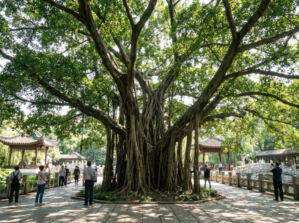 17c一起草社区顾问王雅琴
